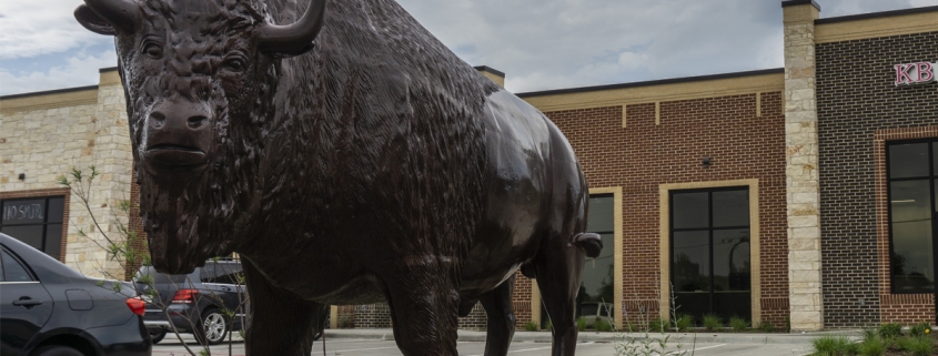 Buffalo Statue outside stores on Cuny Road